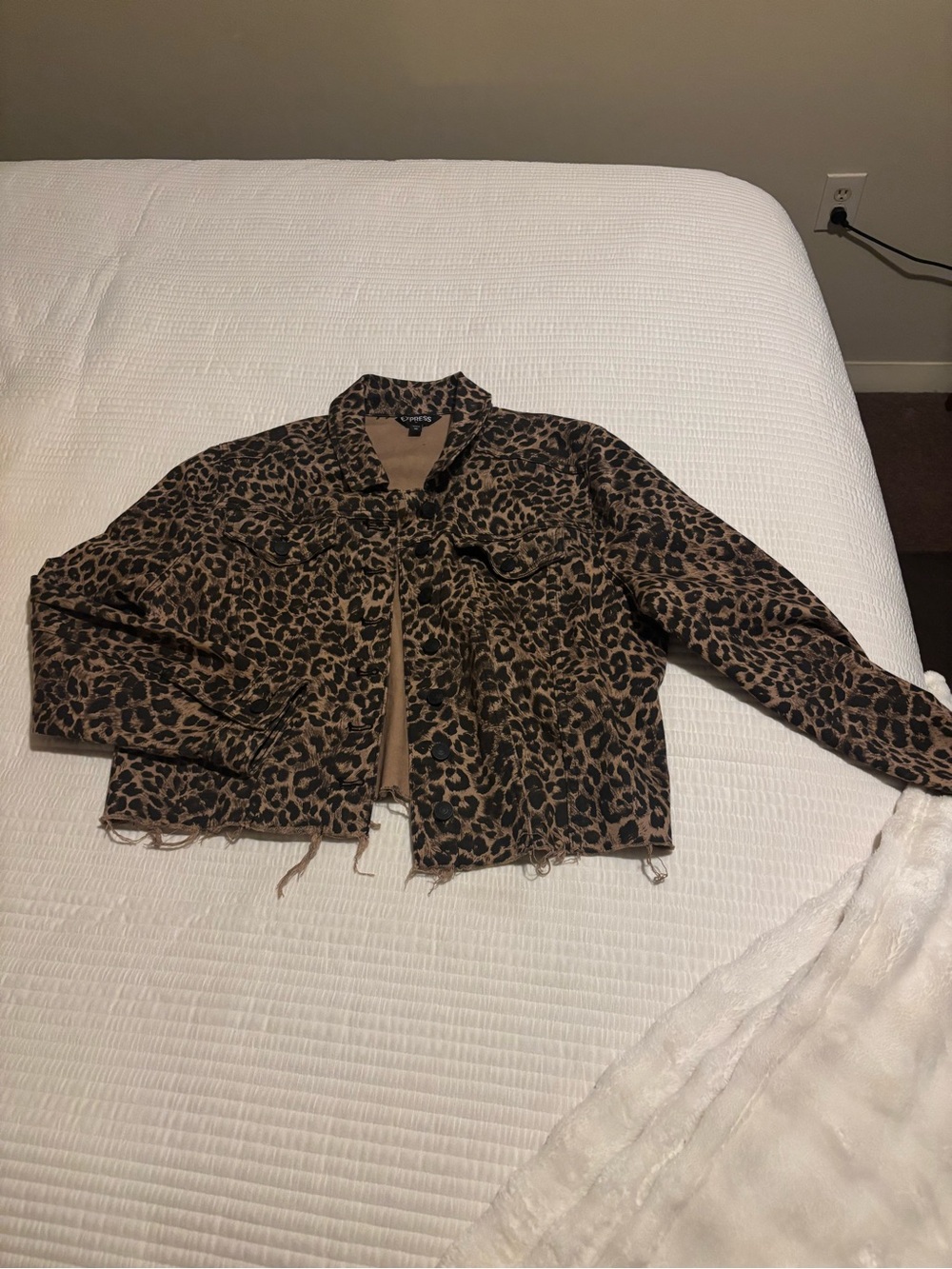 Express Cropped Cheetah Print Jean-like Jacket